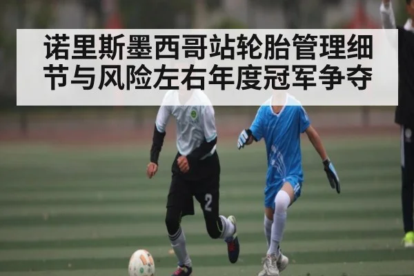 诺里斯墨西哥站轮胎管理细节与风险左右年度冠军争夺